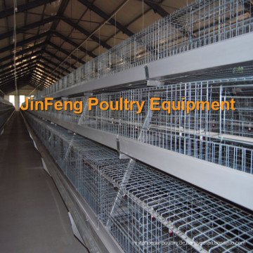 Automatische a Type Broiler Chicken Cage Hot Verkauf in Afrika